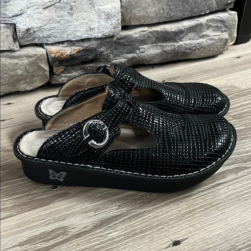 Algeria mules/40